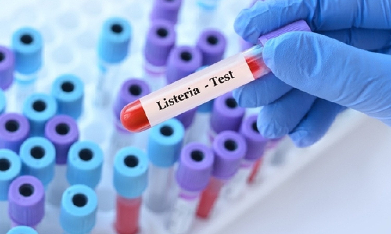 Listeria zero