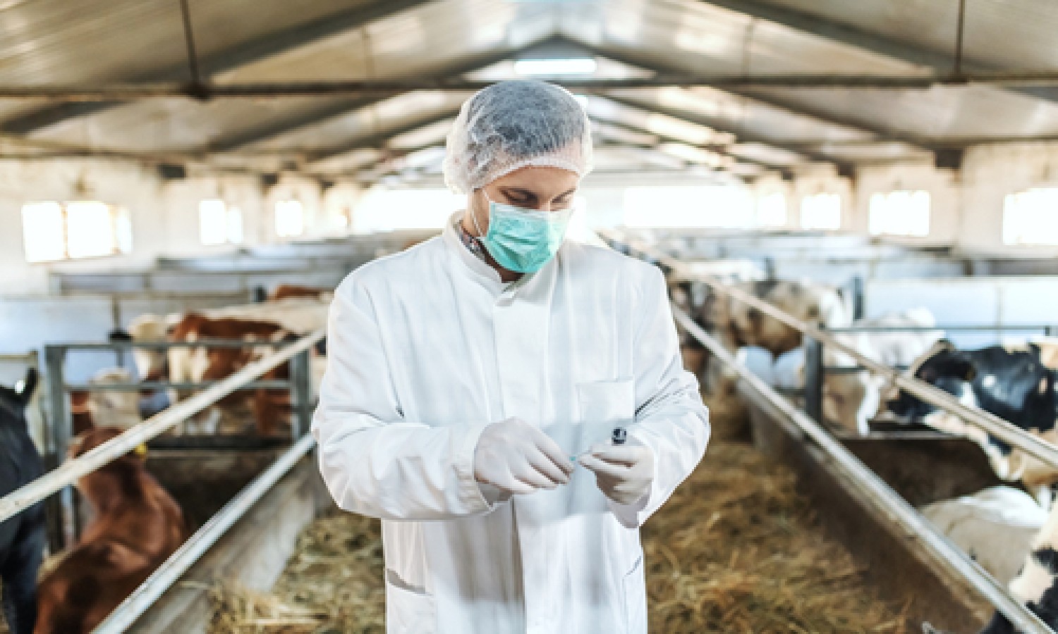 Controlli farmaci veterinari: i risultati del Piano Nazionale Residui (PNR)