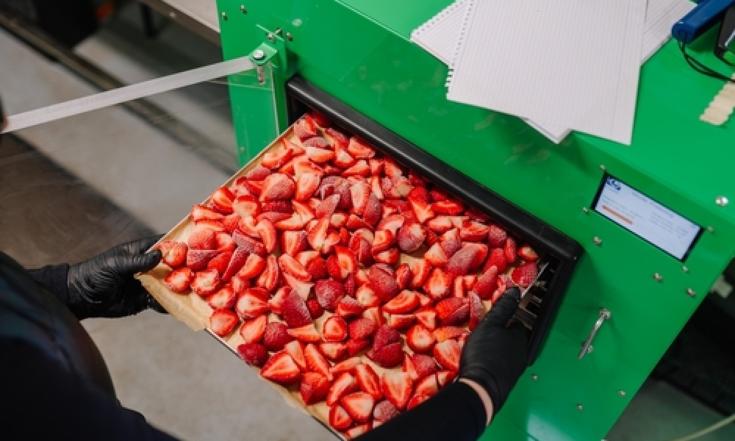 Come prolungare la shelf life delle fragole