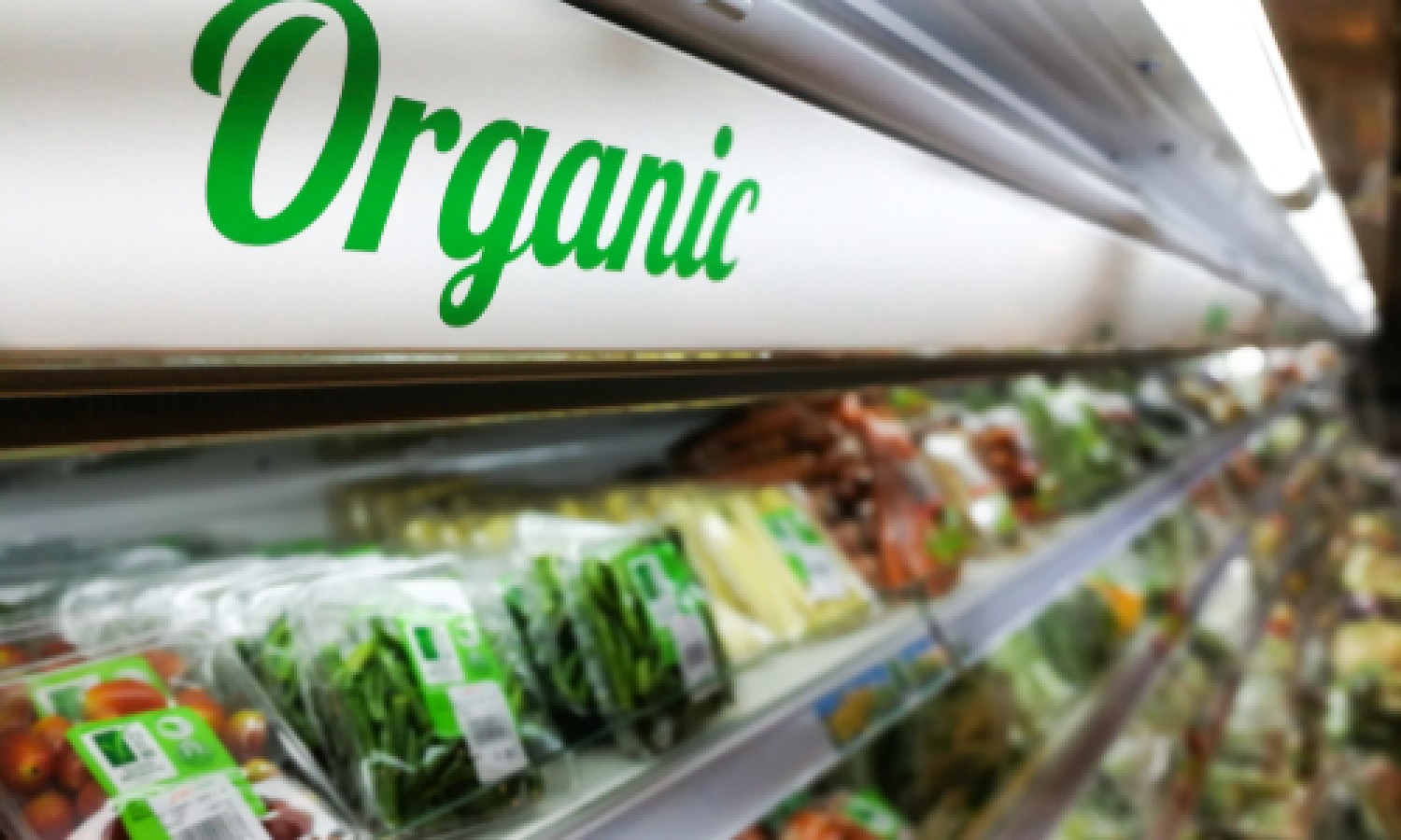  Fermare le truffe nel biologico