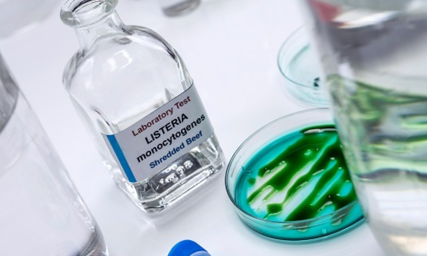Usare la LAMP per rilevare la Listeria
