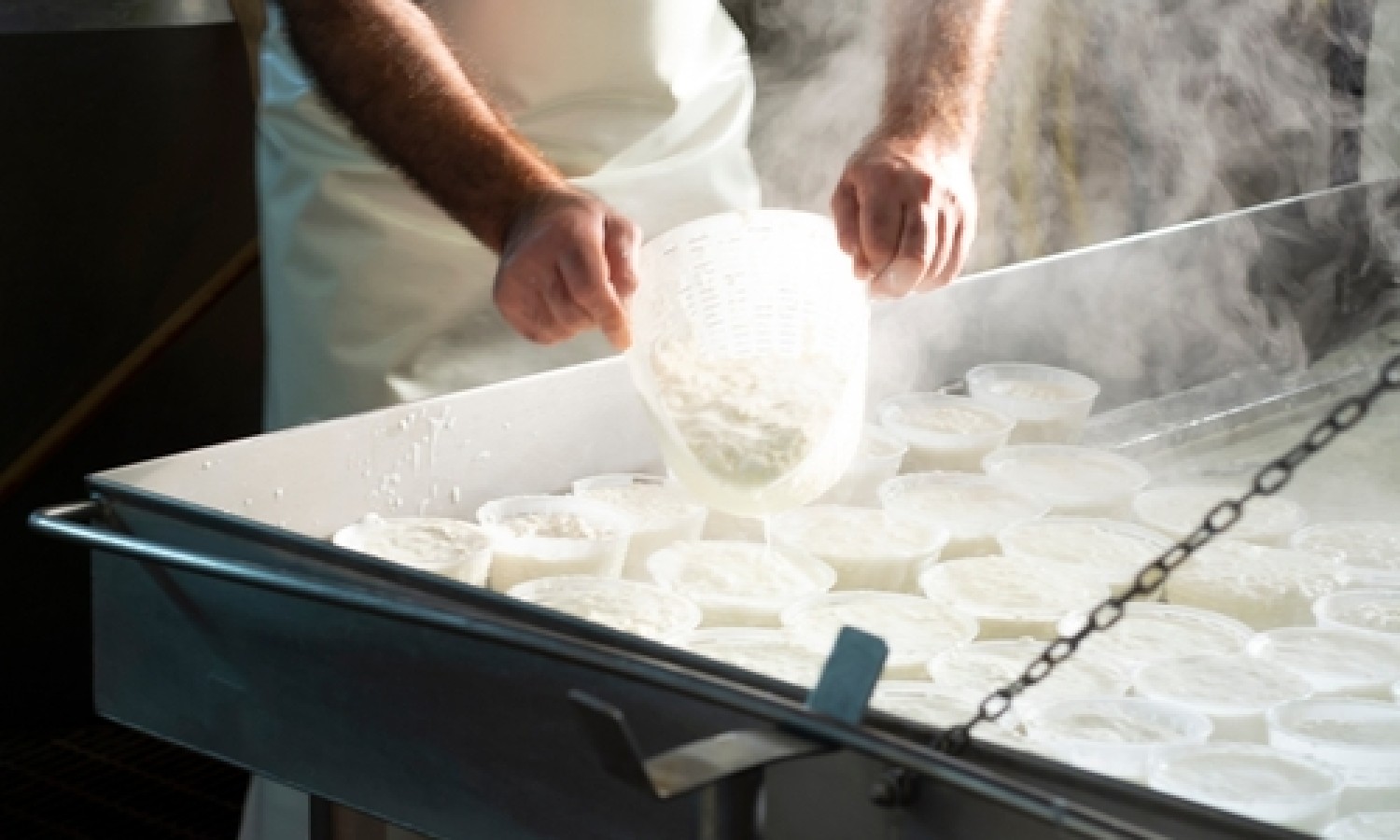 Soluzioni impiantistiche avanzate per la ricotta