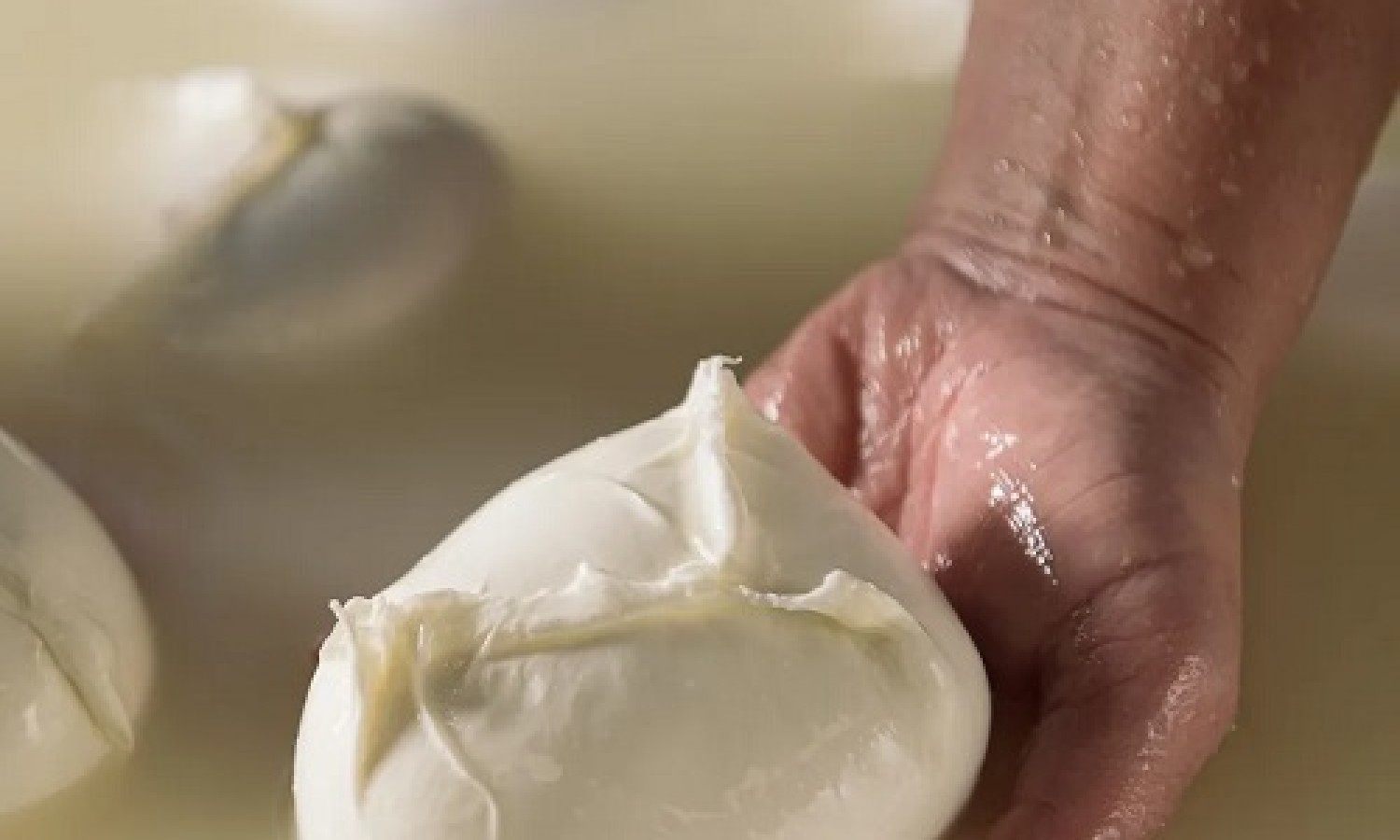 La mozzarella di Bufala Campana DOP guarda all’Europa