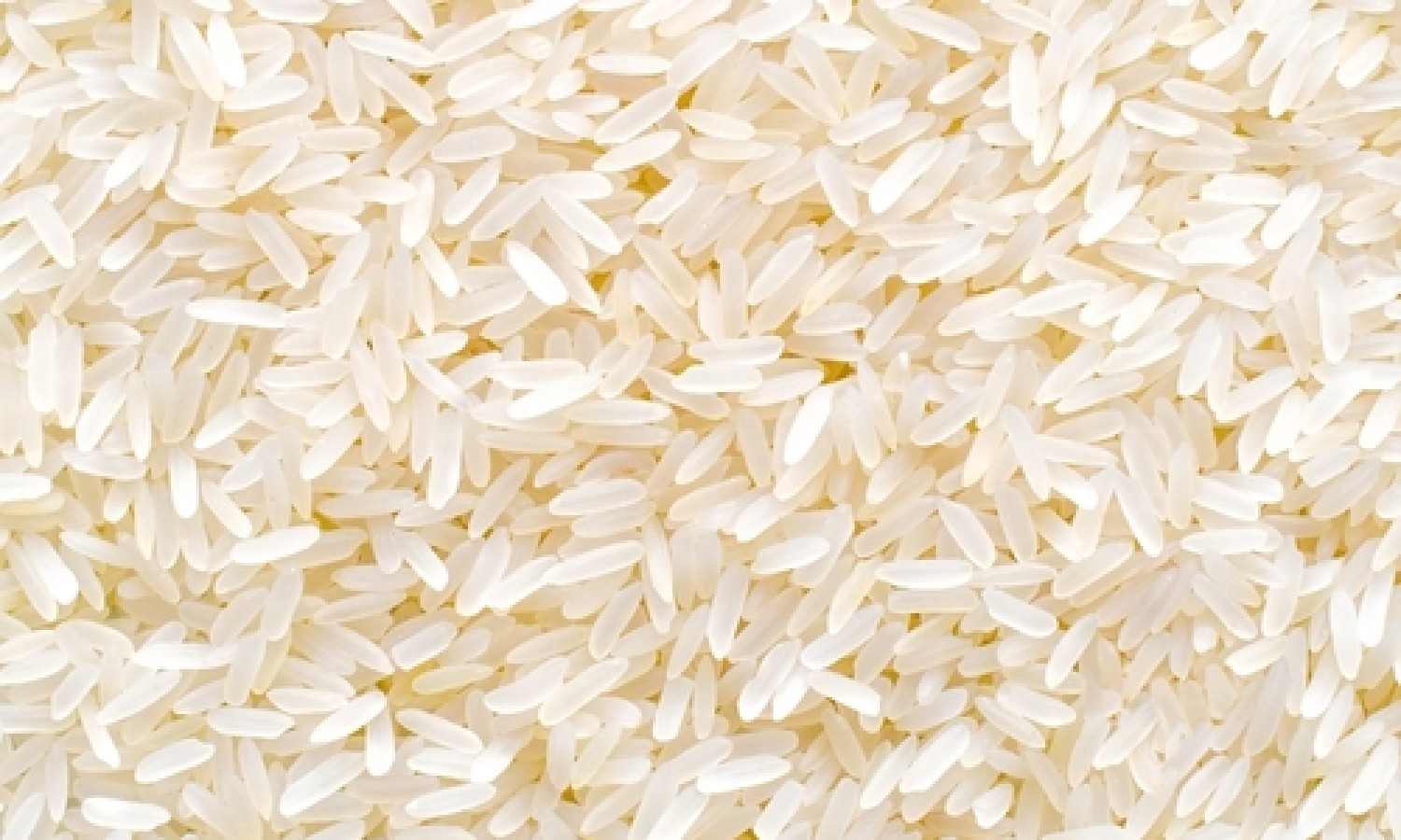 Riso, l’Italia chiede reciprocità all’Unione Europea