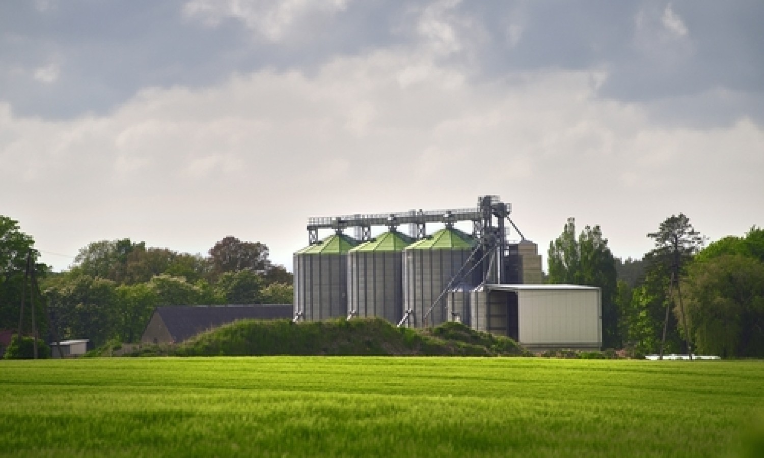 Agroalimentare: continua il traino dell’export