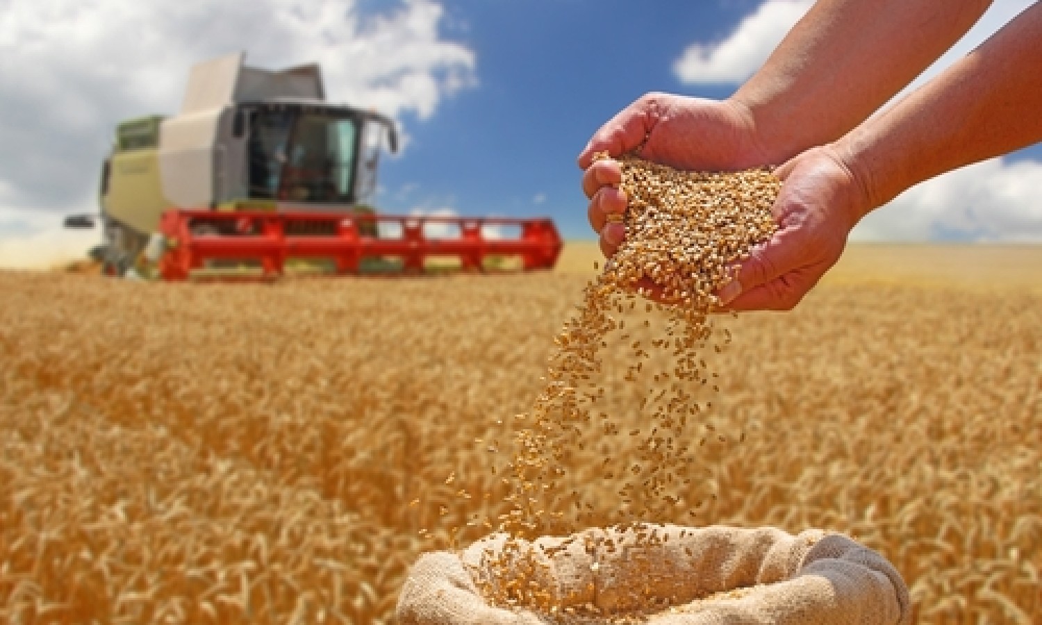 Agricoltura europea: chi scende e chi sale