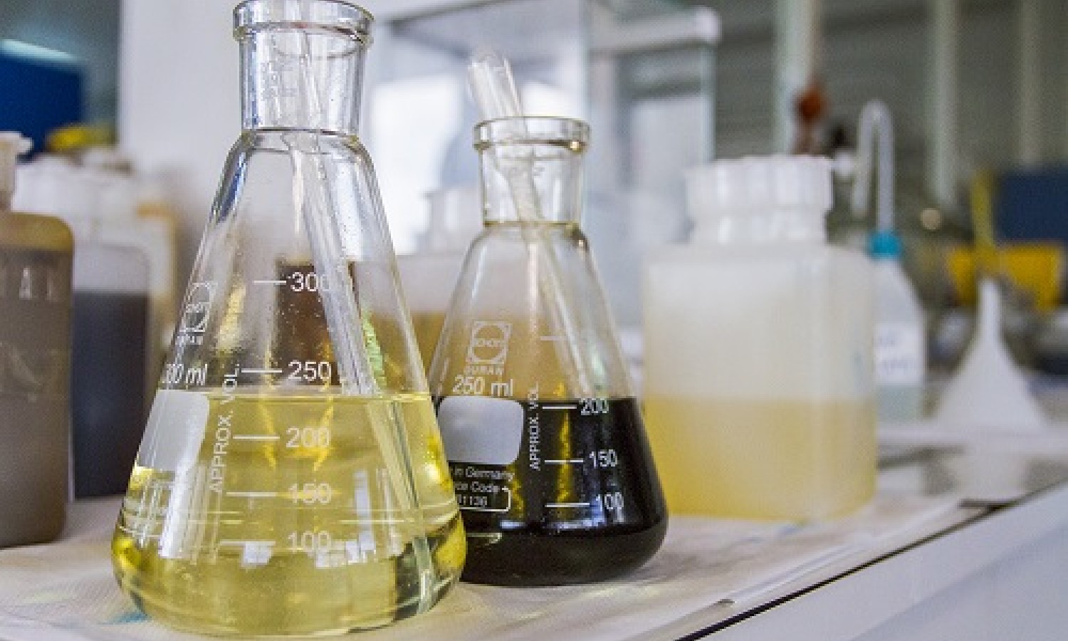 Nuovo impulso per la bioeconomia circolare