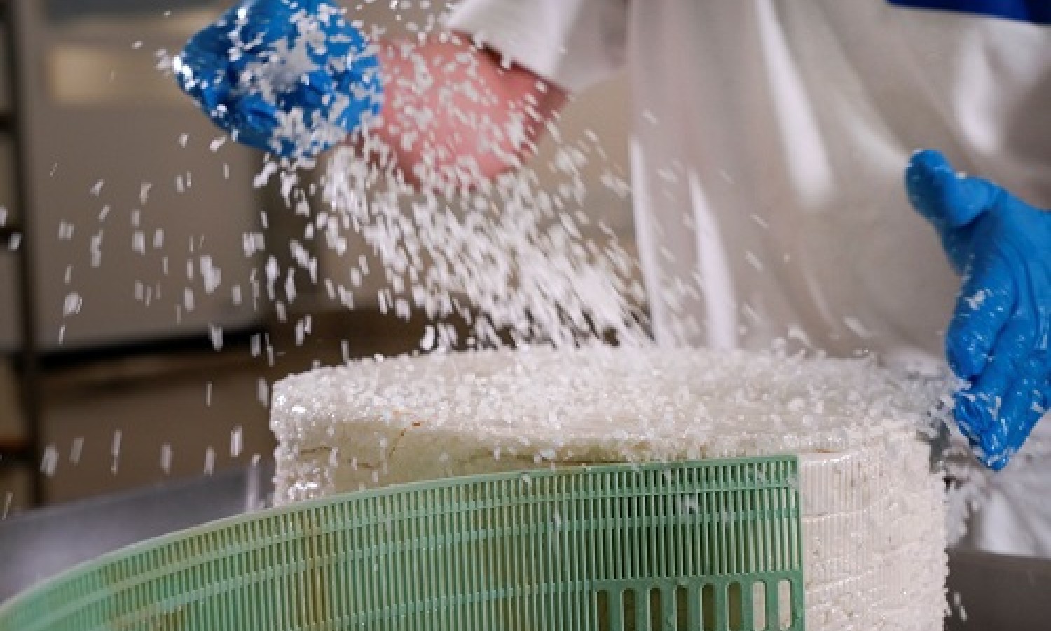 Gorgonzola DOP: gusto e aroma ma poco sale