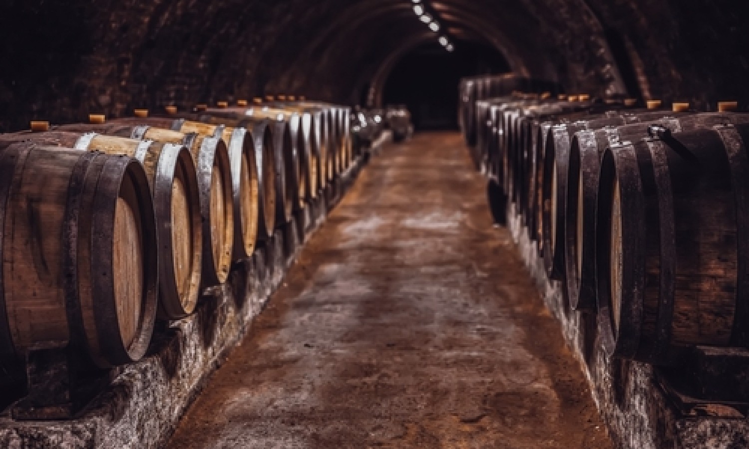 Vini e mosti: giacenze in netto aumento