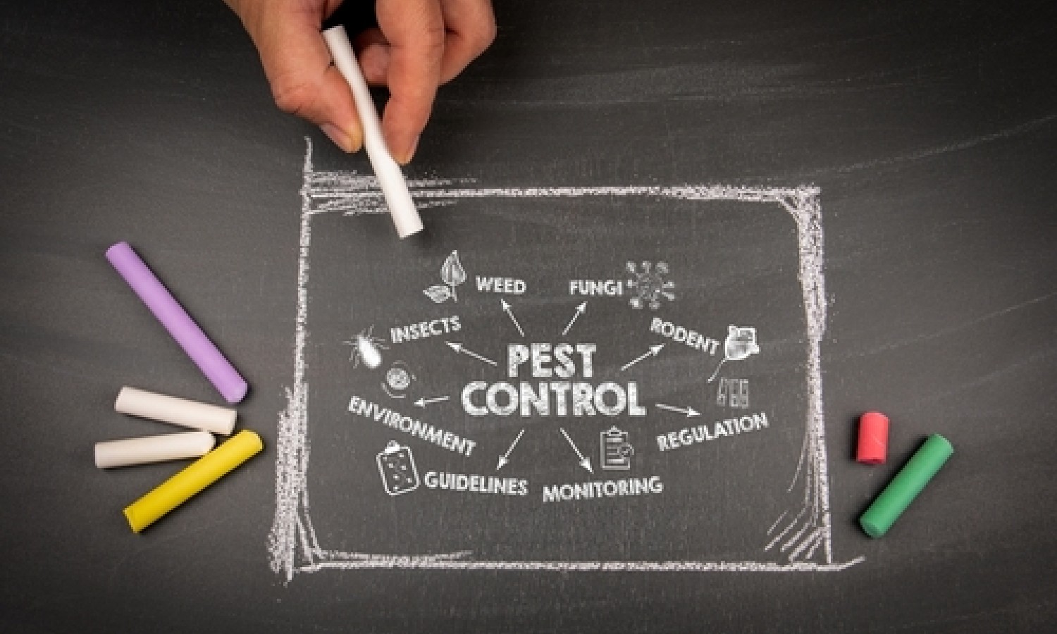 Framework Integrato per il Pest Management Sostenibile