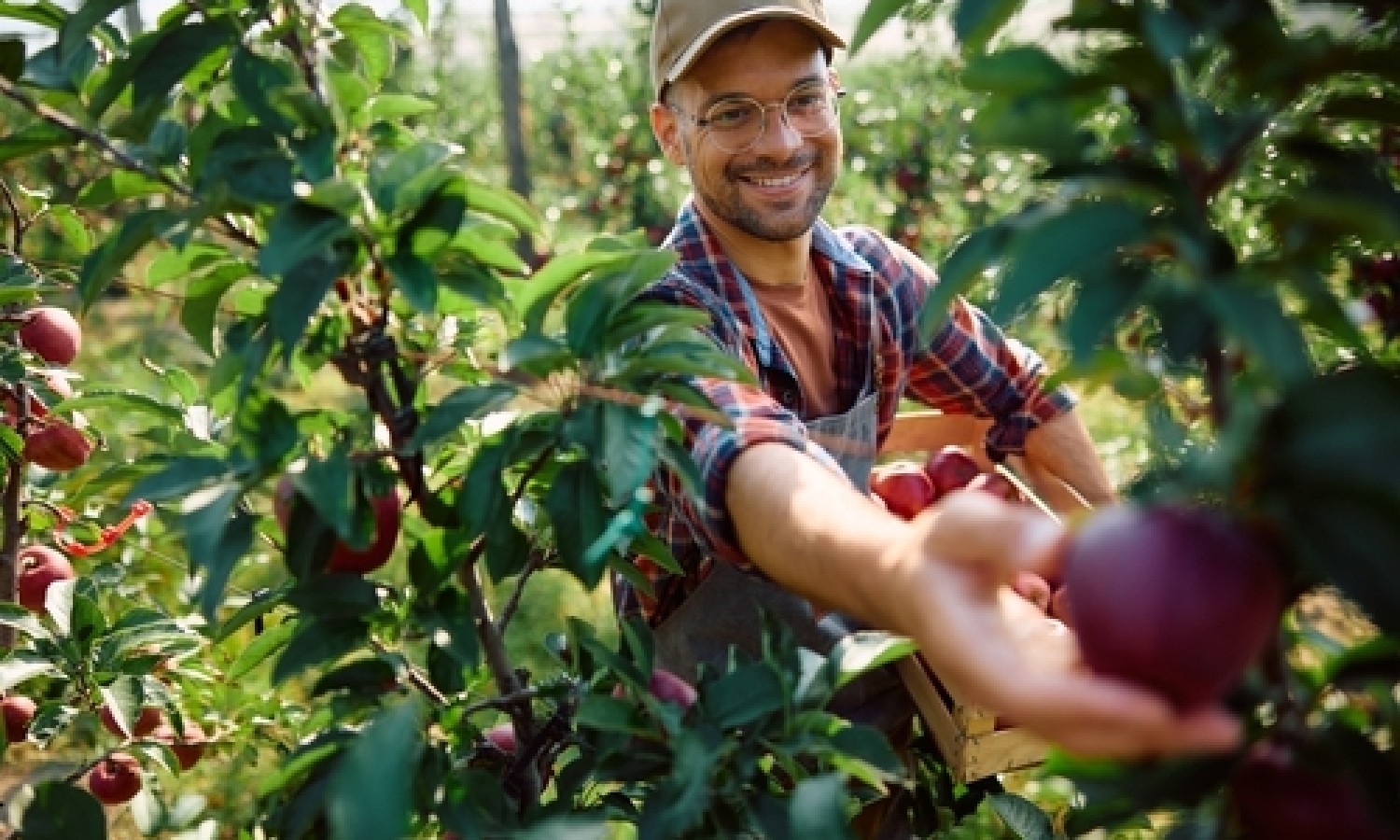 Tutela agroalimentare, la legge va avanti