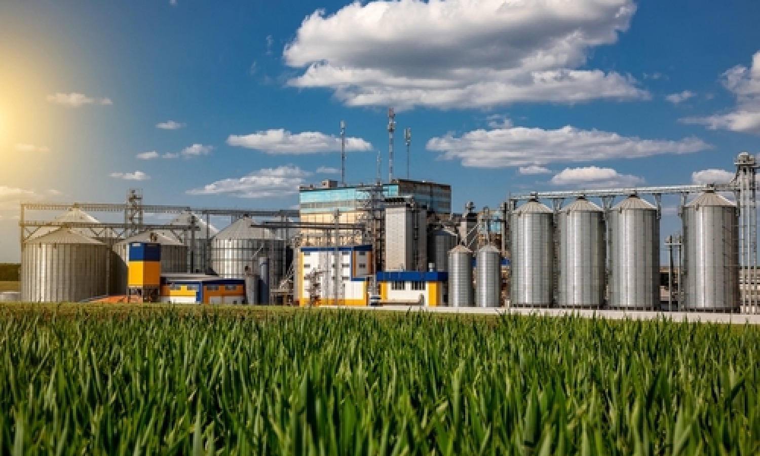 Esportazioni: opportunità dai mercati emergenti