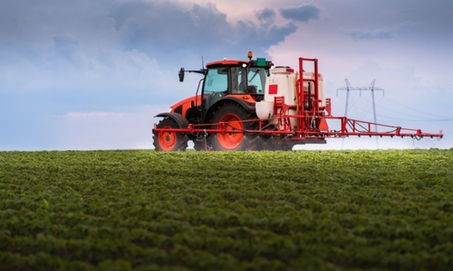 Pesticidi: il biologico mostra meno residui nei controlli