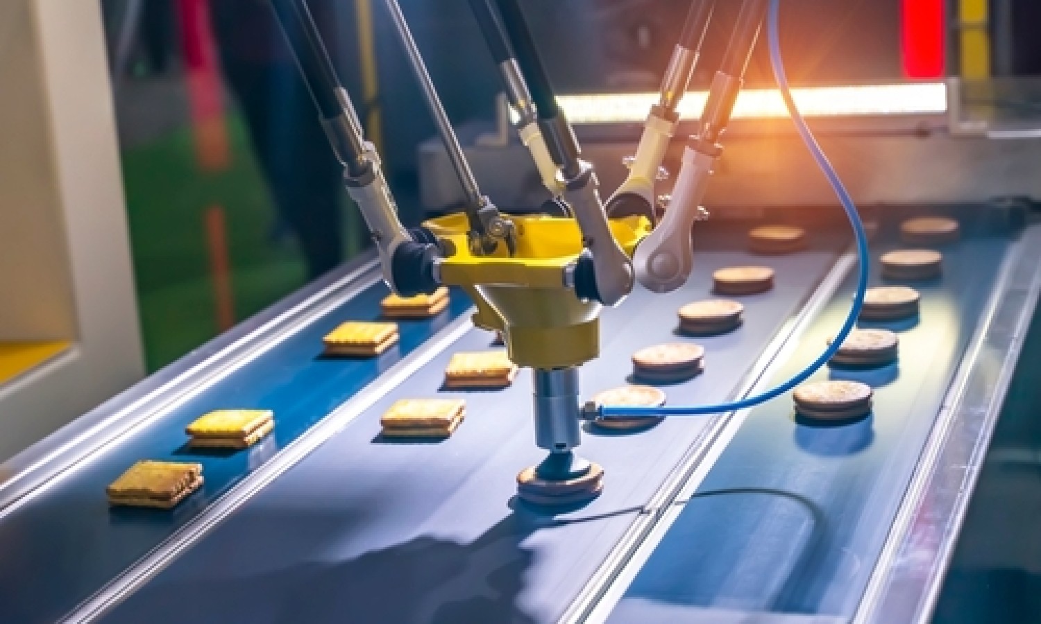 Robotica: tecniche avanzate e soluzioni innovative