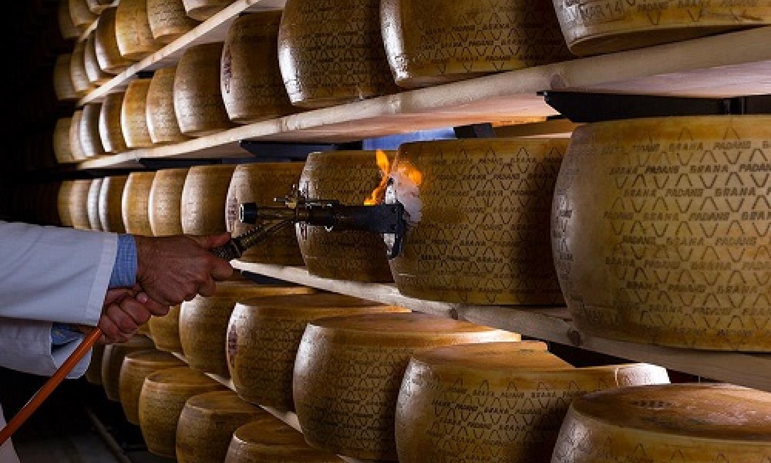 Grana: obiettivo crescere senza eccessi