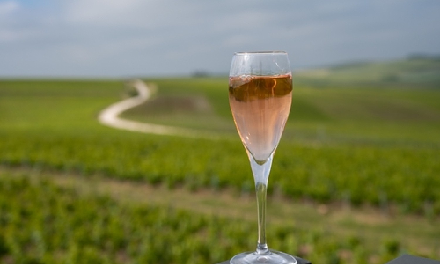 Bollicine: oltre 1 miliardo di bottiglie