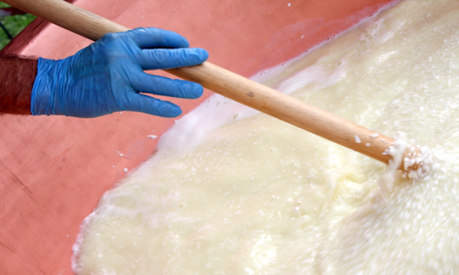 Gli enzimi, un’alternative al caglio animale