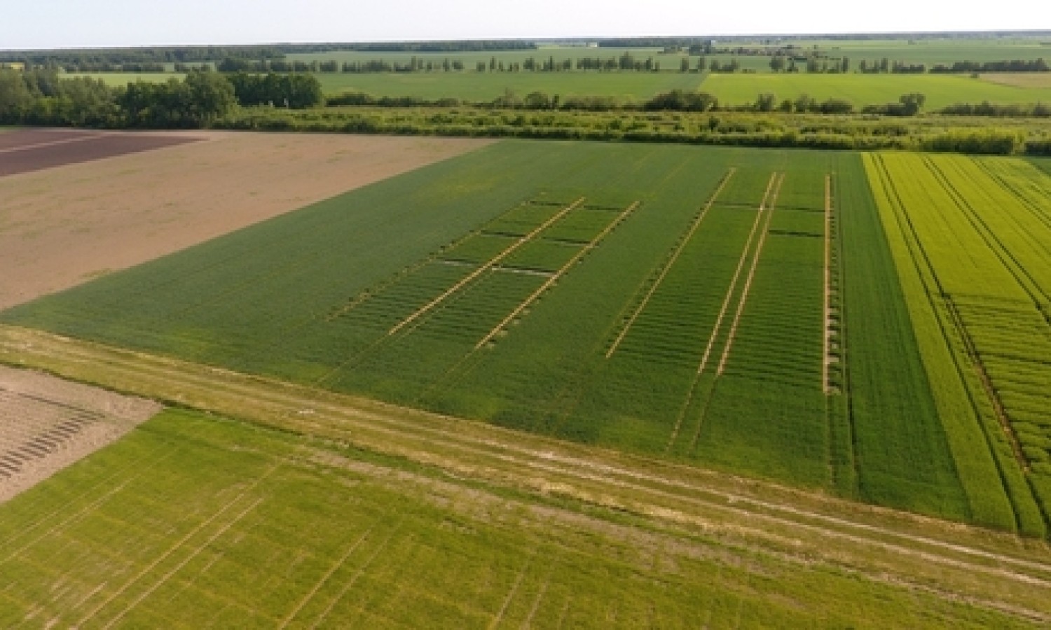 Prospettive agricole UE 2025-2035: resilienza e produttività