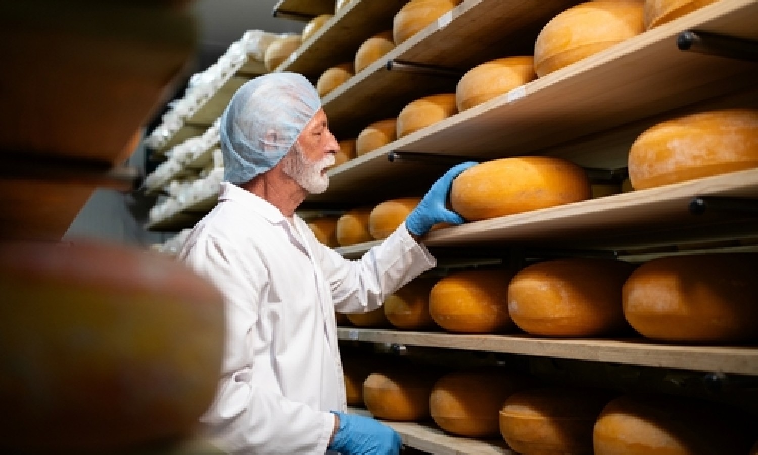 L’acqua influenza qualità e durata dei formaggi