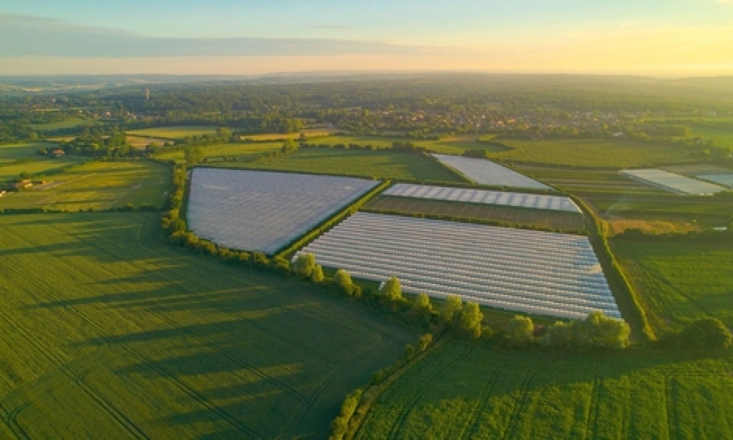 Agricoltura: la sfida dell’innovazione