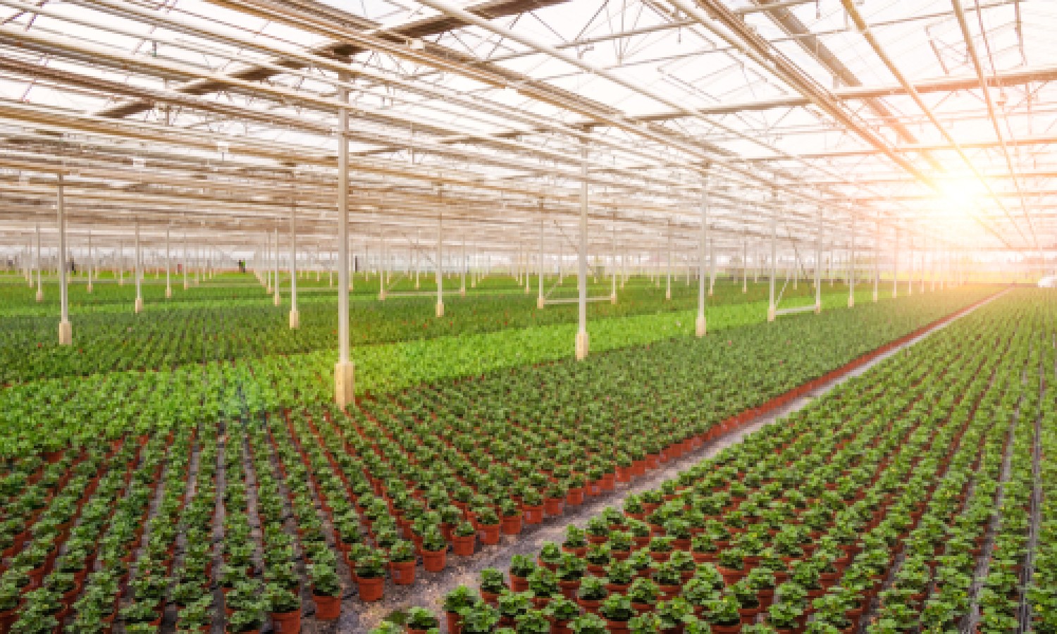 UE verso nuove regole sulle tecniche genomiche