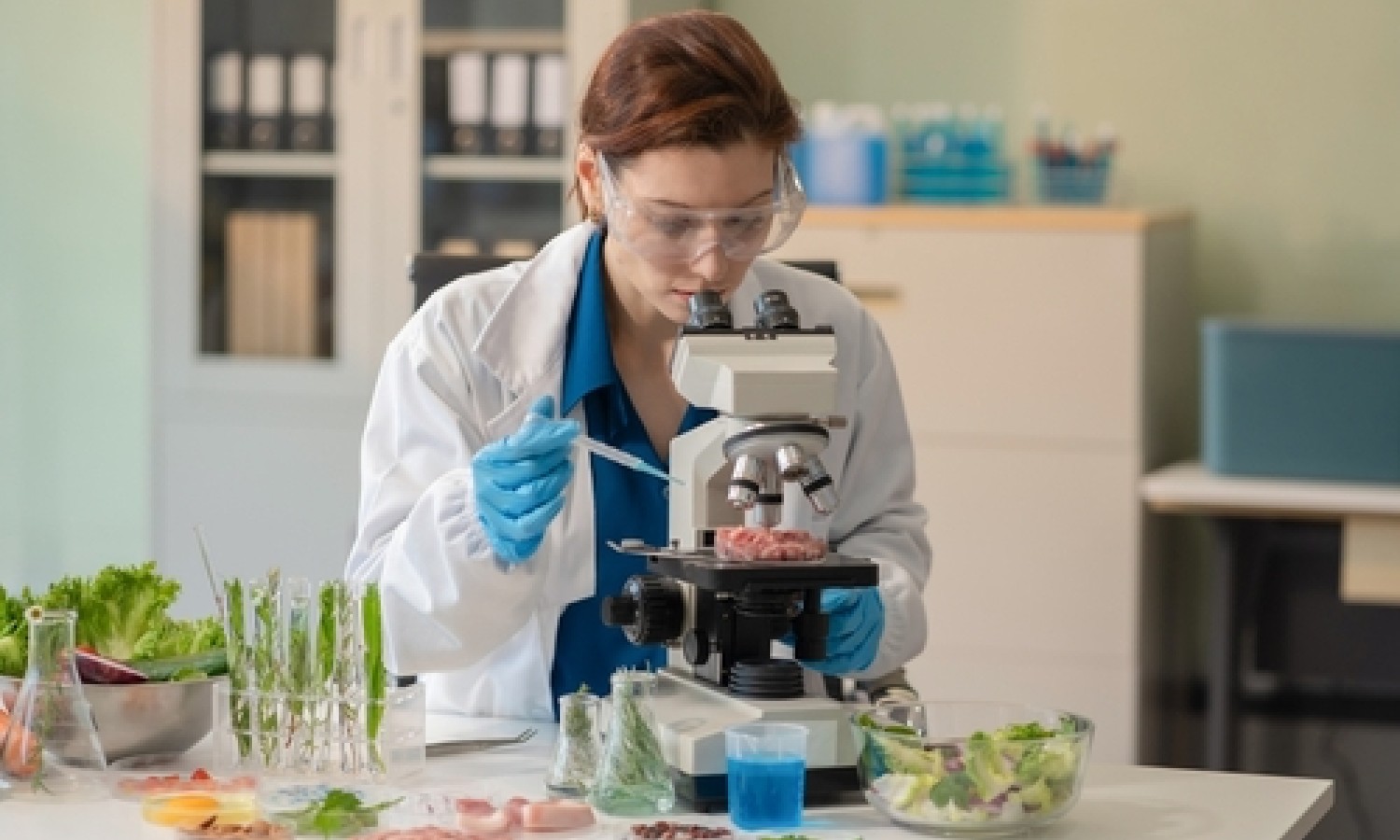 Conservanti alimentari e salute: nuovi studi