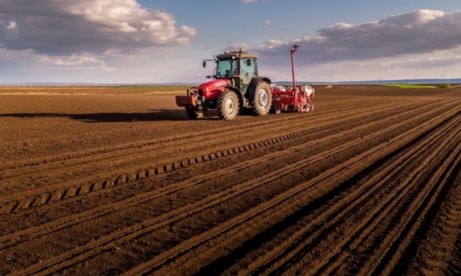Filiera alimentare europea: produzione, prezzi e lavoro