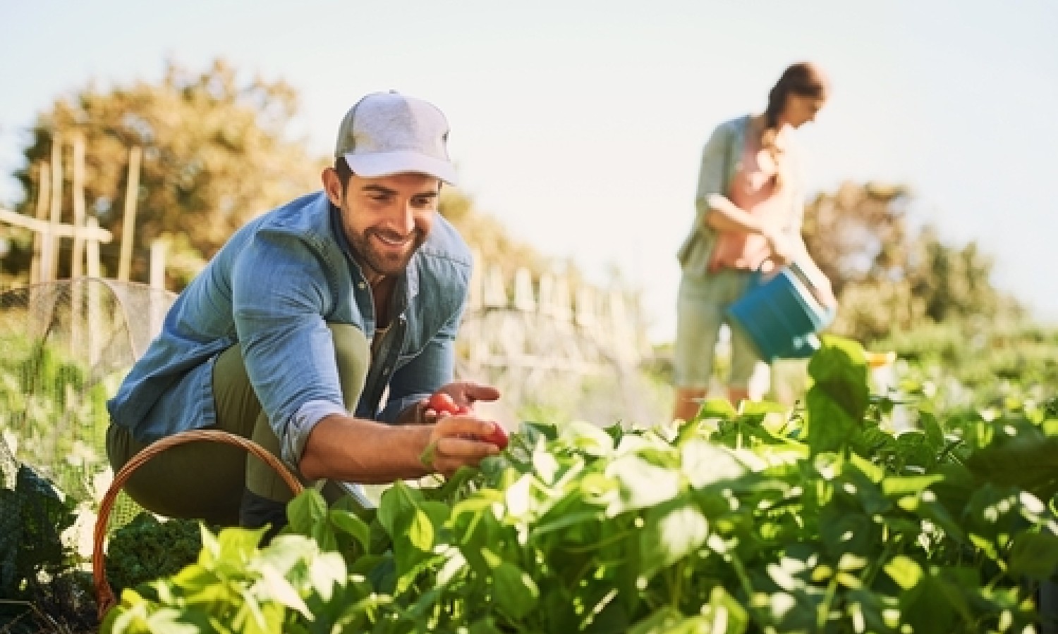 Accordo sul marchio del biologico italiano