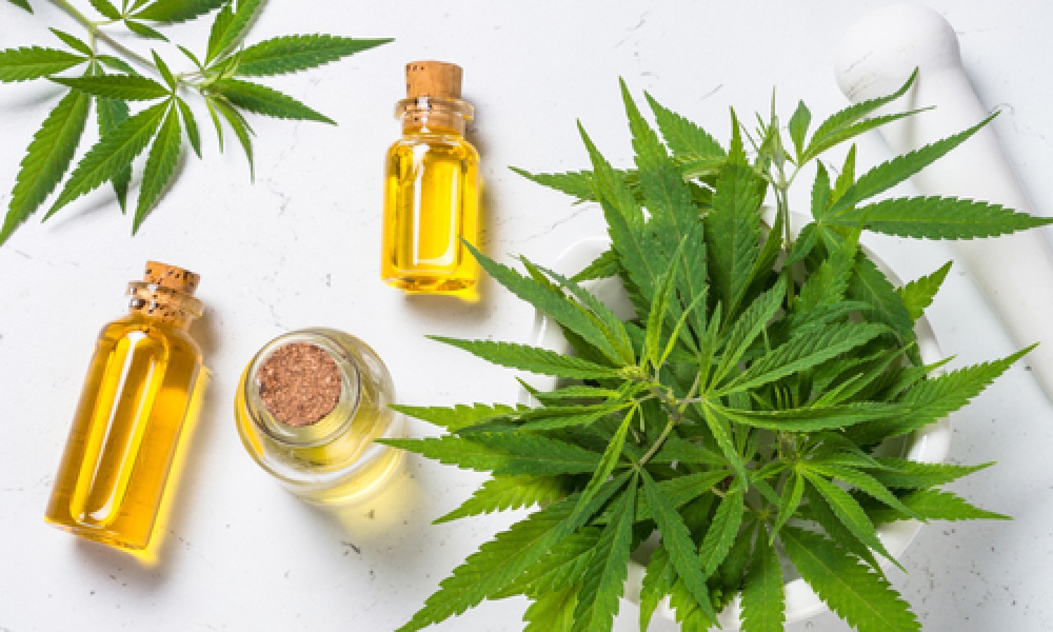 Cannabidiolo: EFSA fissa un livello di sicurezza provvisorio