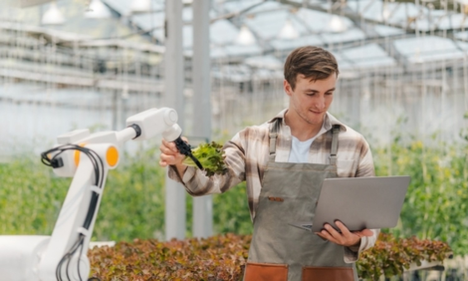 Agrifoodtech: più investimenti e più startup
