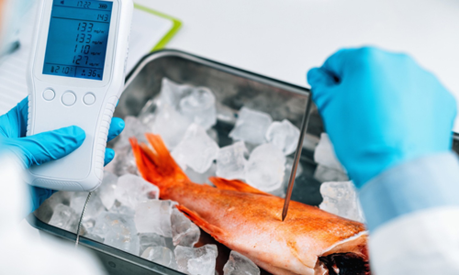 Consumo di pesce e mercurio: le raccomandazioni