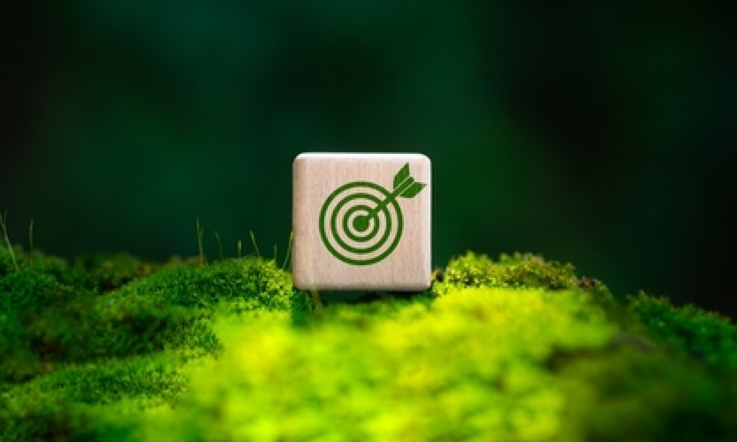 Una piattaforma per la sostenibilità delle imprese