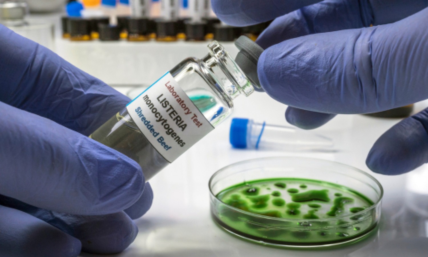 Una panoramica tecnica e legale sulle sfide da Listeria