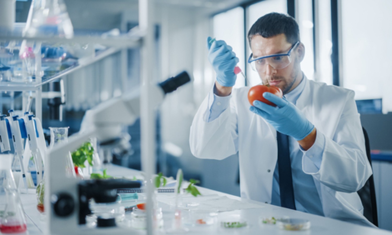 Un biosensore per la sicurezza alimentare in loco