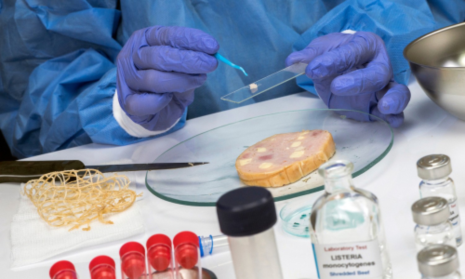 Nanocompositi per il rilevamento rapido di Listeria