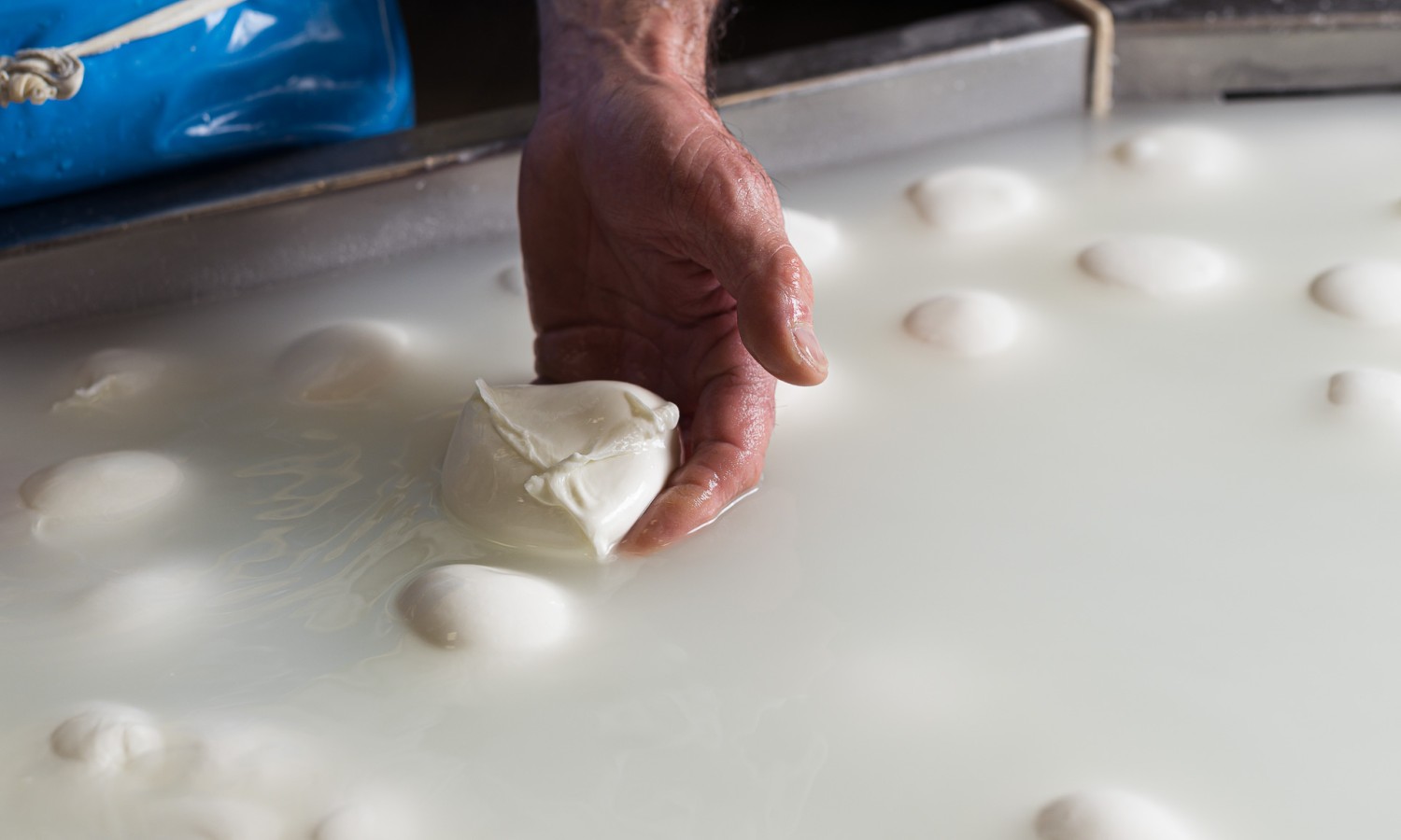 Mozzarella DOP e crisi in Iran: impennata costi di produzione, a rischio l’export