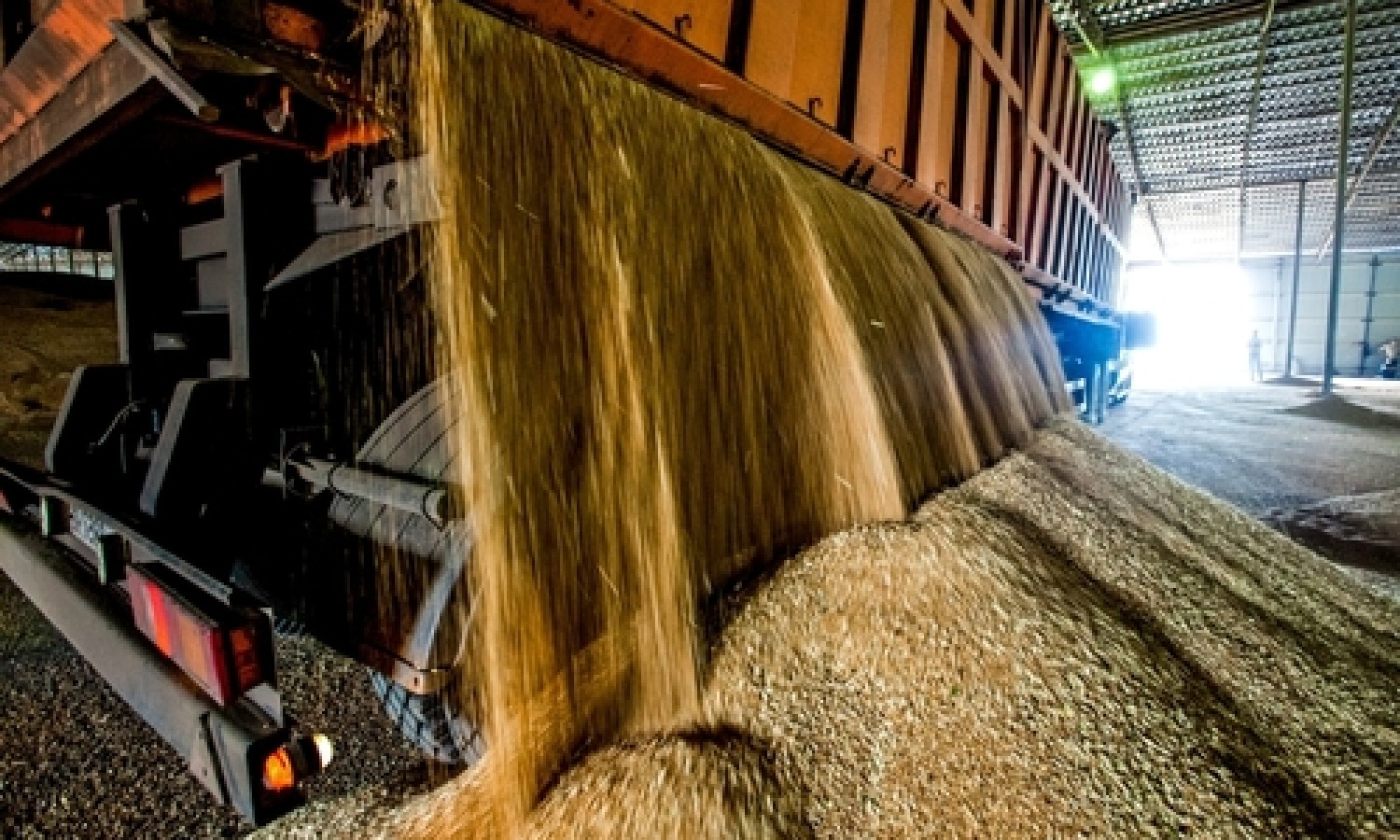 Via libera definitivo al DDL tutela agroalimentare 