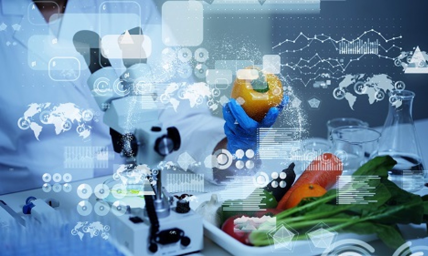 Un approfondimento sui nanozimi nell’industria alimentare