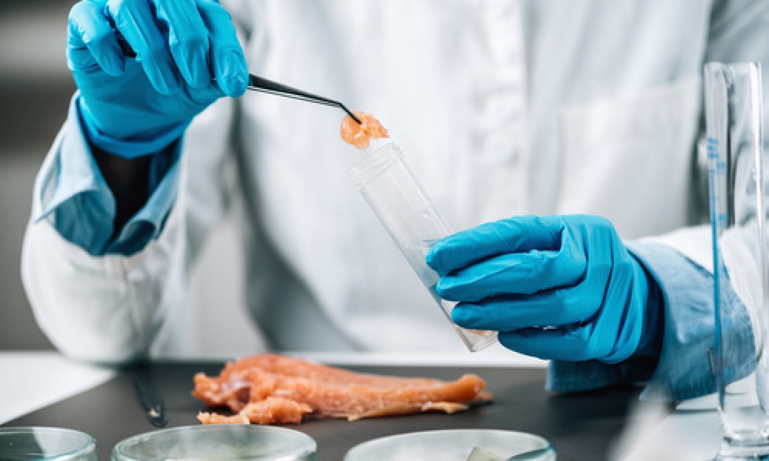 Novità per il rilevamento rapido e sensibile della Salmonella