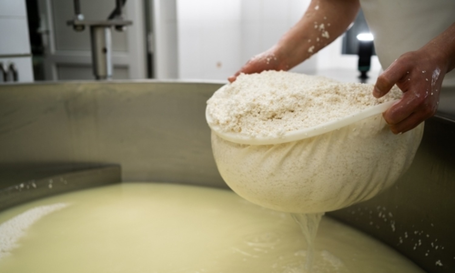 Focus sui sottoprodotti di origine animale