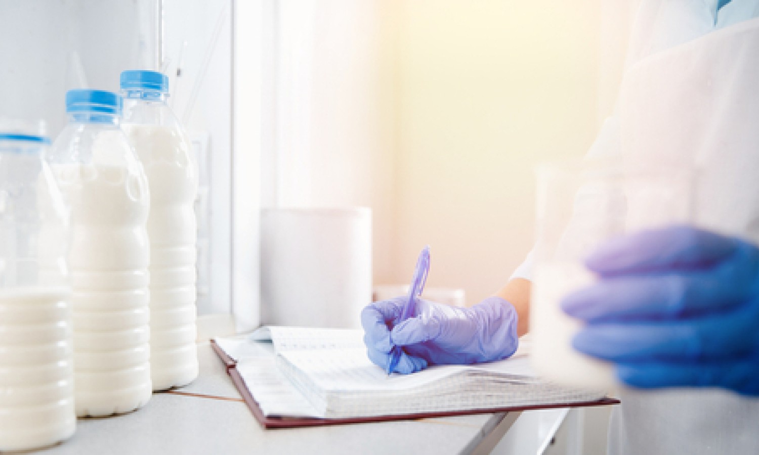 Campylobacter e latte: rischi, regole, controlli