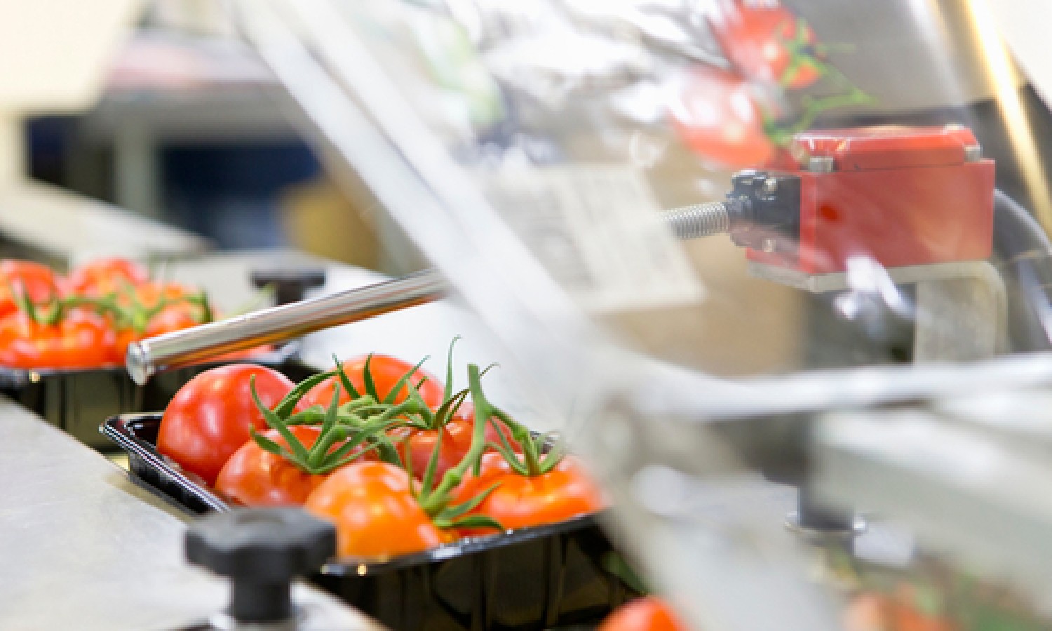 Le insicurezze alimentari e la fiducia degli italiani