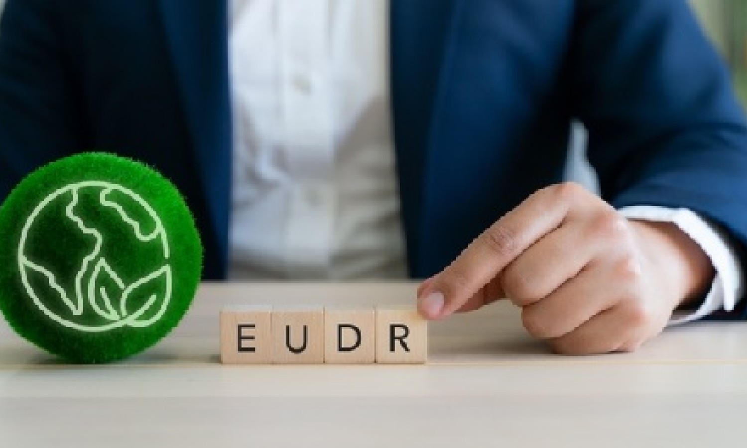 EUDR, l’UE conferma il regolamento anti-deforestazione