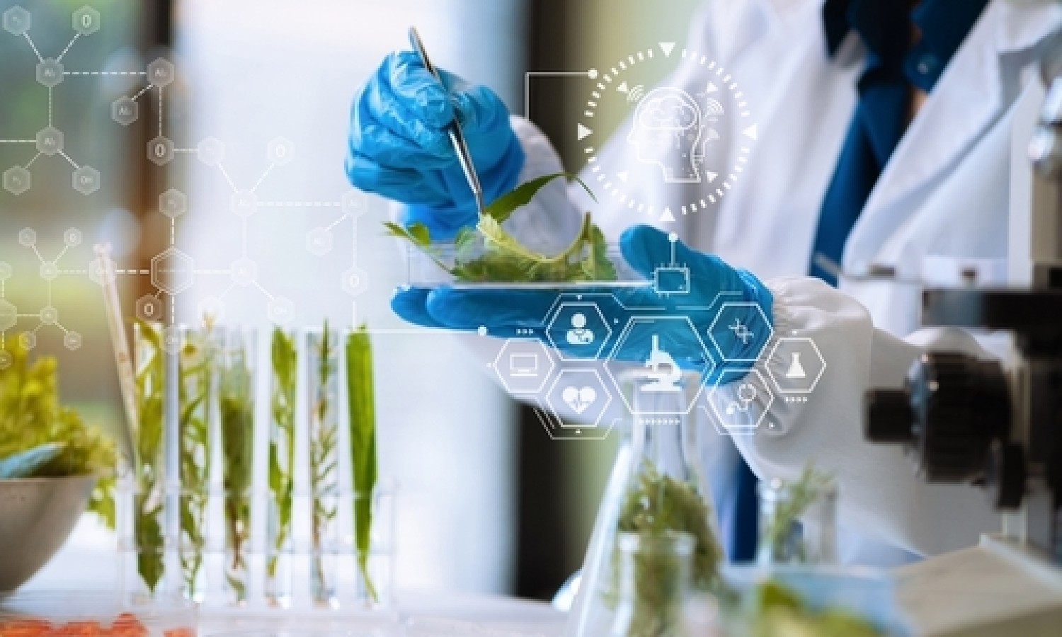 La sicurezza alimentare nell’era dei dati