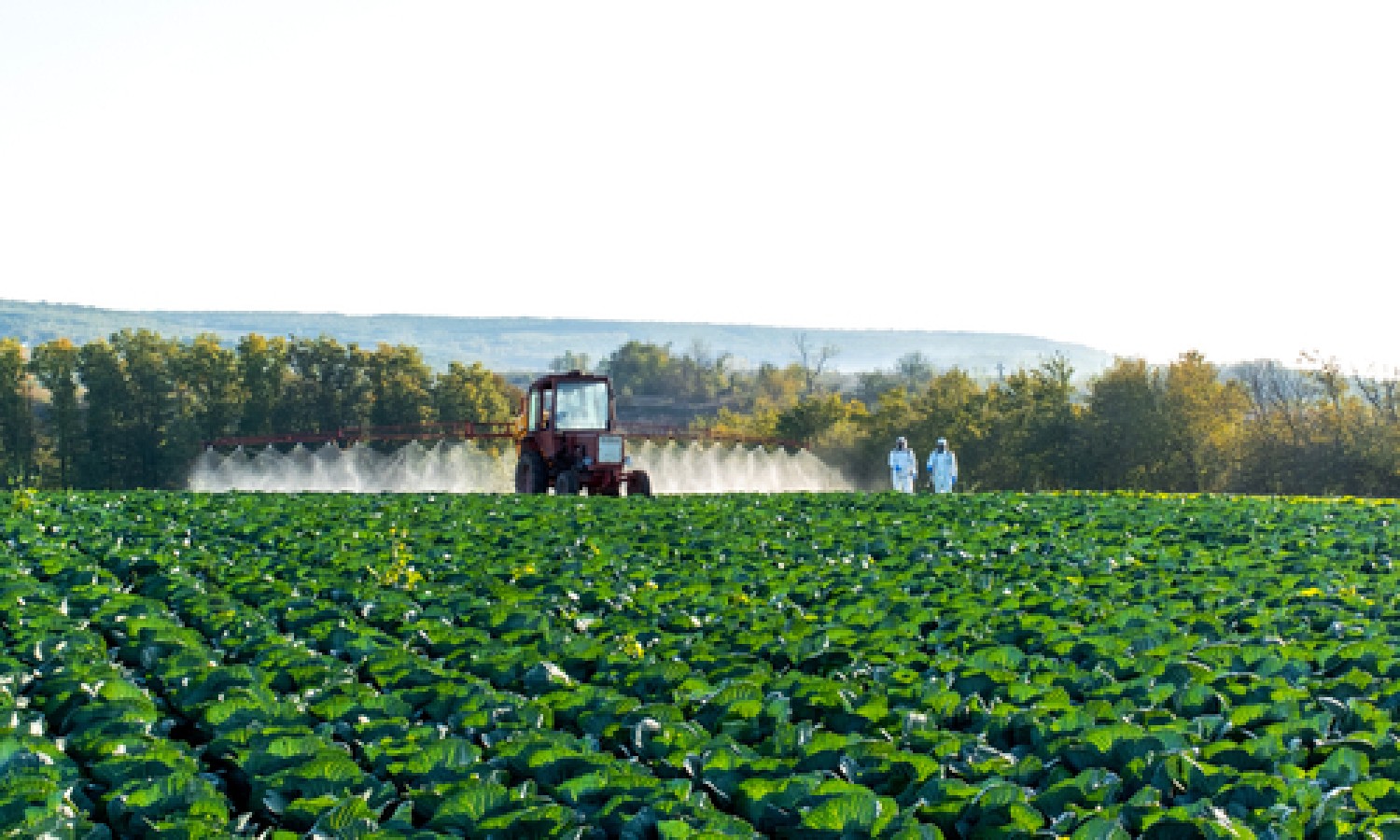 Fertilizzanti, il piano d'azione UE tra sostegni e nuovi dazi
