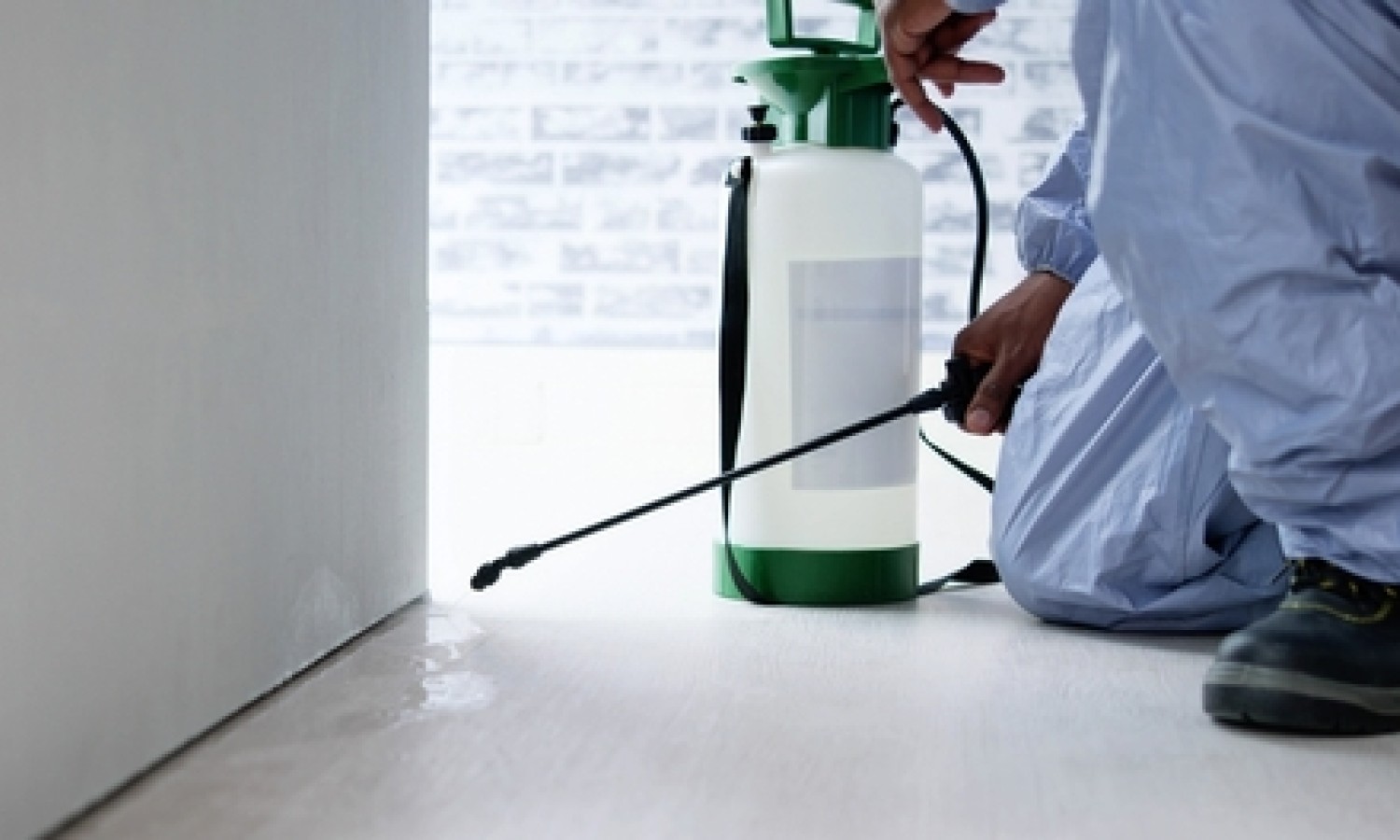 Pest management: come mitigare il rischio da anticoagulanti