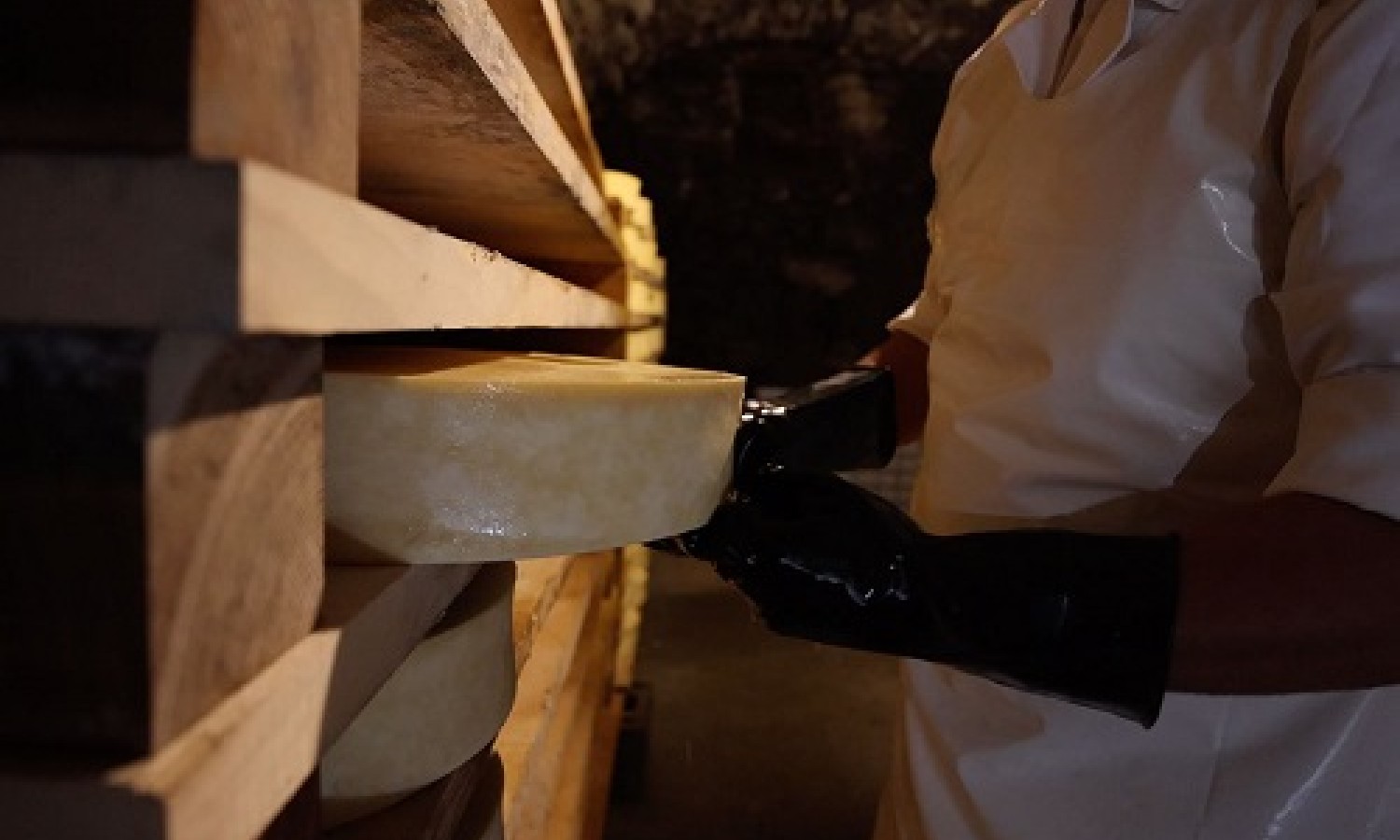 Fontina DOP Alpeggio: stagione nel vivo