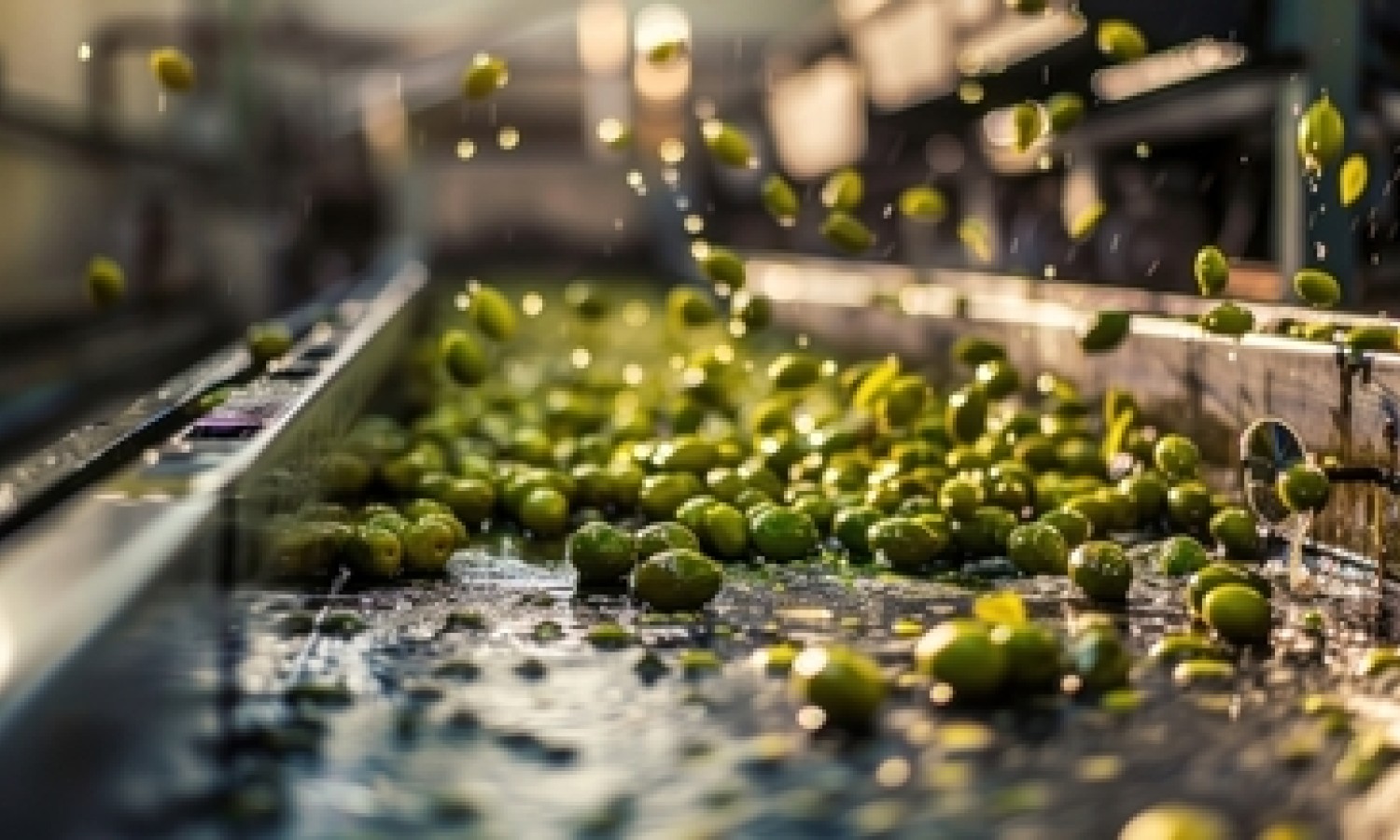 Verso un indice di danneggiamento della pasta di olive