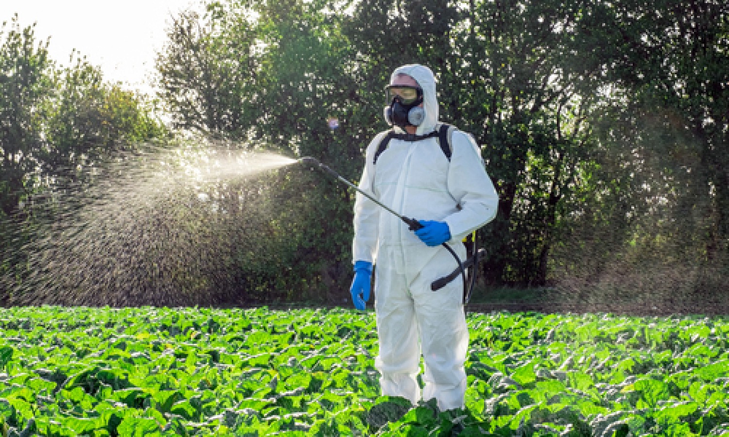 EFSA abbassa il livello di sicurezza per esposizione al TFA