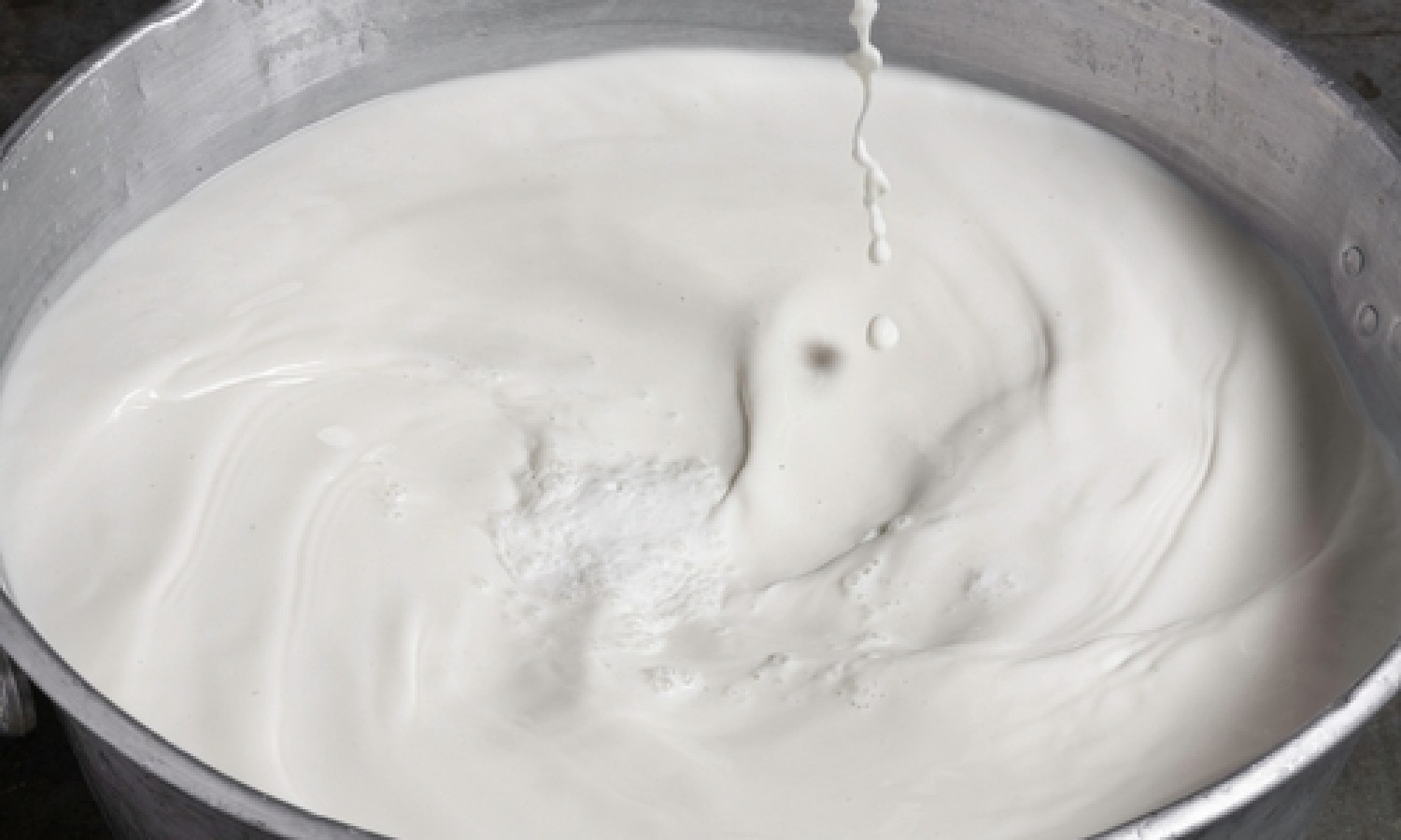 Il microbiota durante la produzione del formaggio